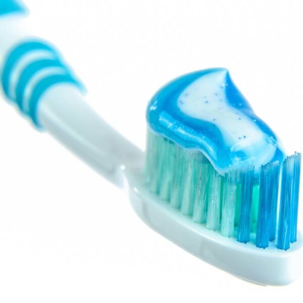 39127 1848 white isolated brush